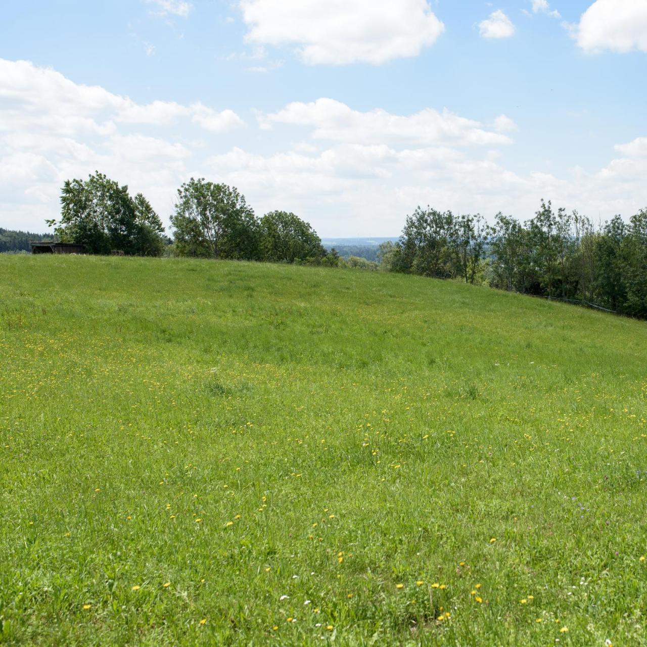 Chalet Landsberg Landsberg am Lech Dış mekan fotoğraf